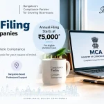 ROC Annual Filing for Private Limited Companies in Bangalore – AOC-4, MGT-7 Support ROC Annual Filing